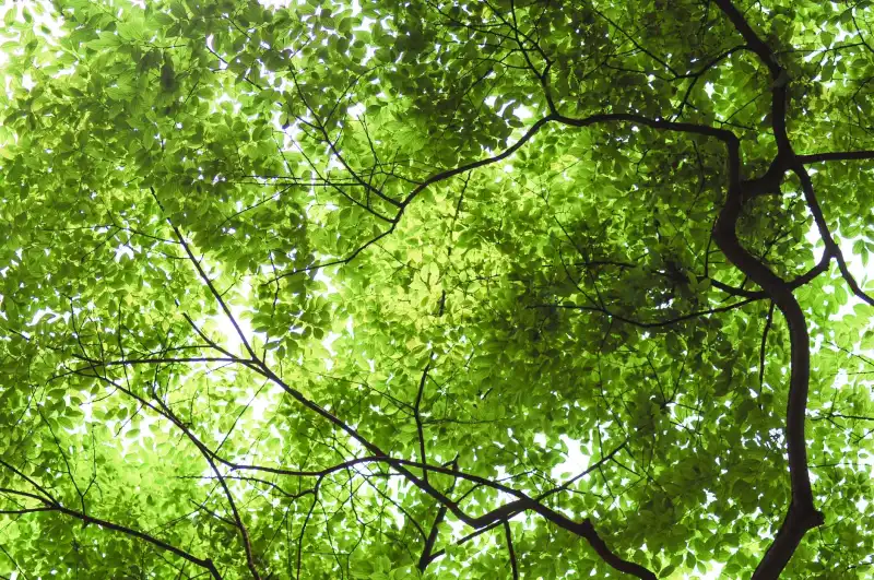 企业文化诊断与团队凝聚力提升:五大引导工具应用解析